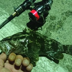 舞洲ライトゲーム