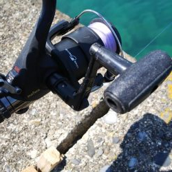 ヤエン釣りでアオリイカ