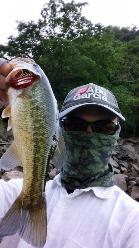 サイズが伸びない。