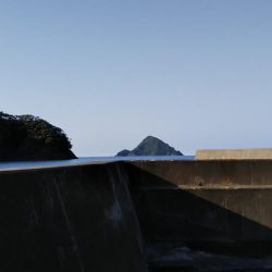 メバリングにまさかの・・・