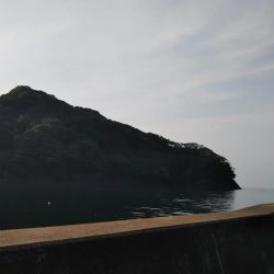 シーズンラストのメバリング