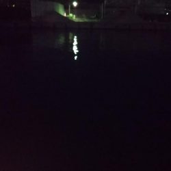 まだまだメバリング