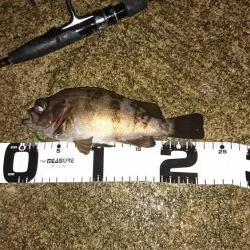 タモは必需品です