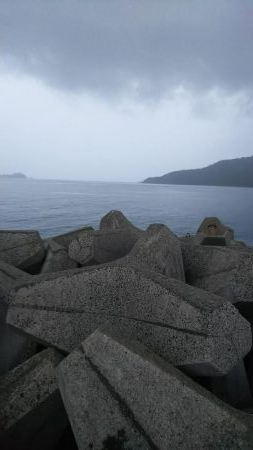 teamゲッソー調査隊