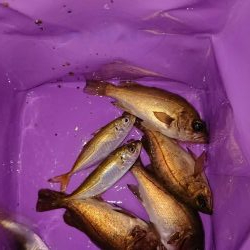 相変わらずの強風の中