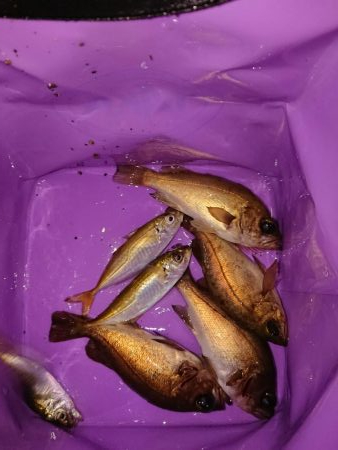 相変わらずの強風の中