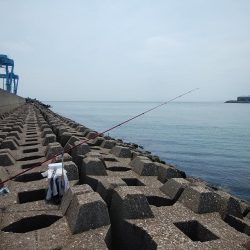 東二見水道のキス情報