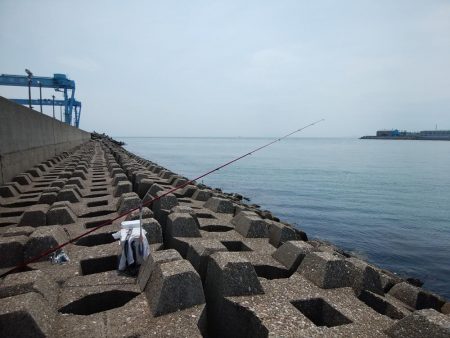 東二見水道のキス情報