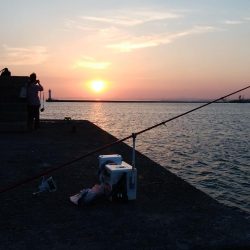 播磨新島のキス情報