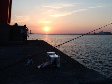 播磨新島のキス情報