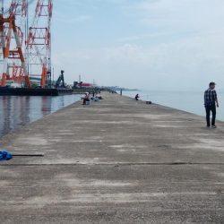 播磨新島のキス情報