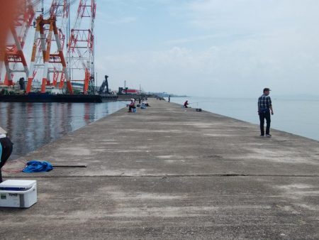 播磨新島のキス情報