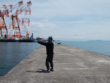 播磨新島のキス情報