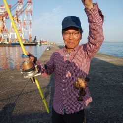 播磨新島のキス情報