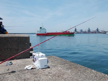 播磨新島のキス情報