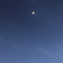 本日も出動、アジとガシラ狙い。