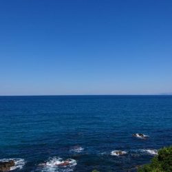 やっぱなんか渋いw