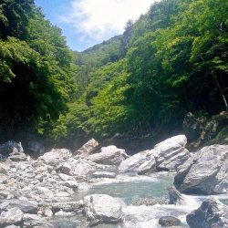 場所替えで何とか