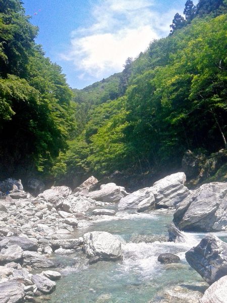 場所替えで何とか