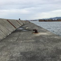 武庫川一文字 サゴシ・大サバ