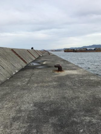 武庫川一文字 サゴシ・大サバ