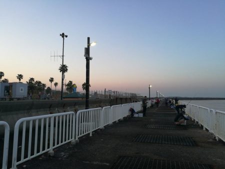 魚釣り園護岸 釣行 (GW8日目 根魚の釣果有り)