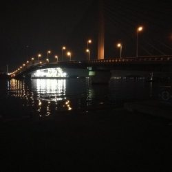 南港かもめヘチ釣り (GW9日目~ ガシラ24cm超え!の釣果有り)