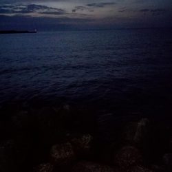 イワシ、アジのちメバル