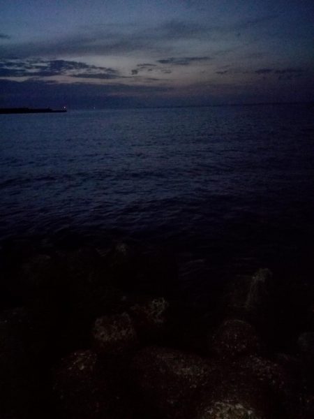 イワシ、アジのちメバル