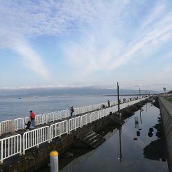 魚釣り園護岸 釣行 (GW10日目 根魚の釣果有り)