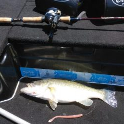 GW明けアシ打ち爆釣