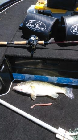 GW明けアシ打ち爆釣