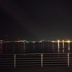 コスモ公園釣行 （楽しい根魚釣り！　ガシラ釣果有り～）