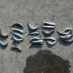 久しぶりの～‼️