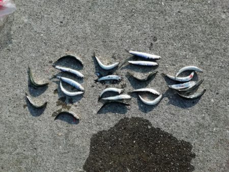 久しぶりの～‼️…