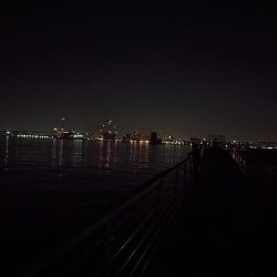 【祝】念願の初キビレ!!