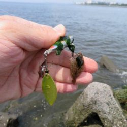 新ロッドでやっと一匹！