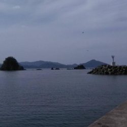 初夏のキス釣り