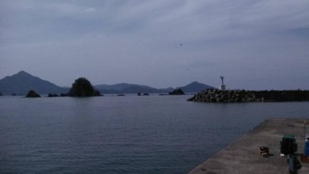 初夏のキス釣り