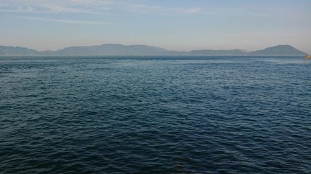 魚へんに春が、来たぁ～！