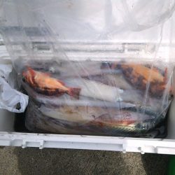 弁天丸 釣果
