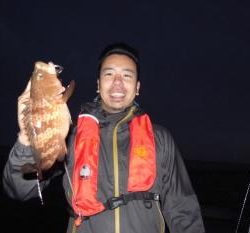 シーマジカル 釣果