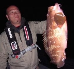 シーマジカル 釣果