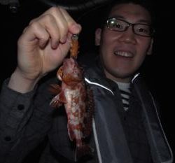 シーマジカル 釣果