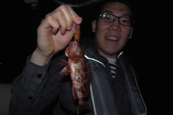 シーマジカル 釣果