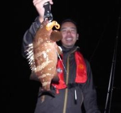 シーマジカル 釣果