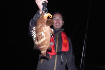 シーマジカル 釣果