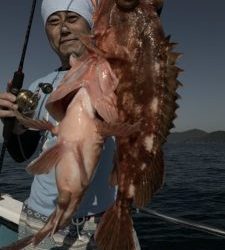 愛海丸 釣果