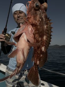 愛海丸 釣果