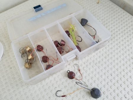 遊漁船　ニライカナイ 釣果